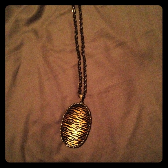 Golden Zebra