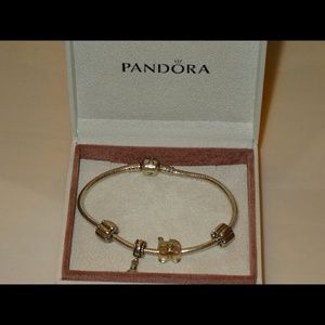 Pandora signature bracelet with charms