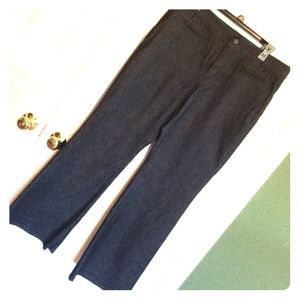 Gorgeous dress slacks by Ann Taylor