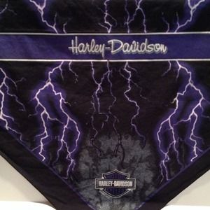 Harley Davidson scarf! Bundled item.
