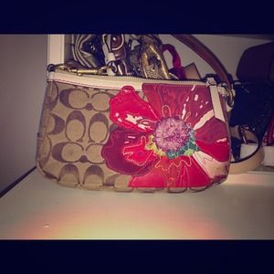 Small coach purse