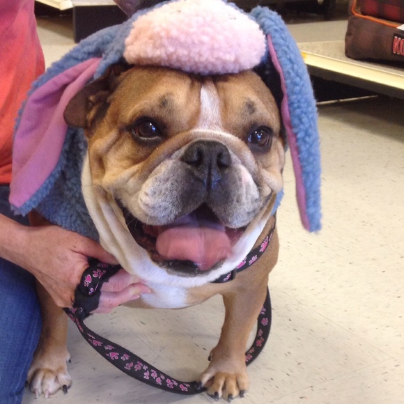 Meet your seller! - Picture 3 of 3