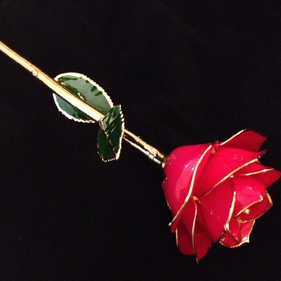 24 kt. Gold and Laquer Dipped Rose