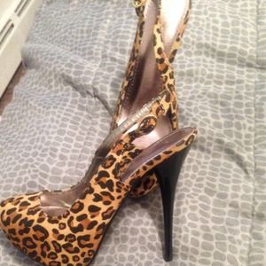 Cheetah pumps