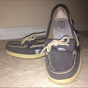 Plaid Navy Angelfish