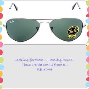 Looking for Small Ray Bans