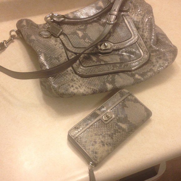 BUNDLE. !! Coach snakeskin wallet and purse