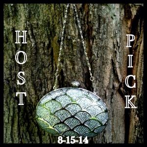 🎉 HP 🎉 Boutique Silver Formal Clutch