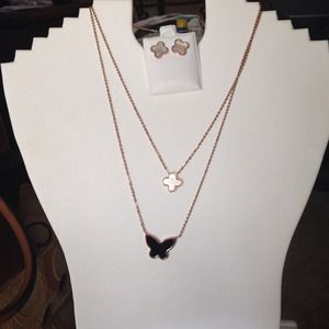 Beautiful necklace and earring set!