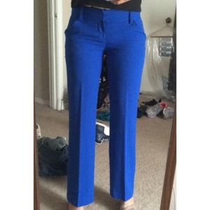 Cobalt Blue Dress Pants
