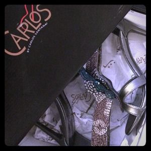 Carlos Santana Shawnee, Pewter