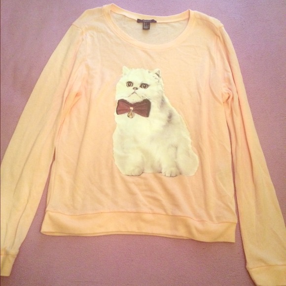 Posh cat knit top