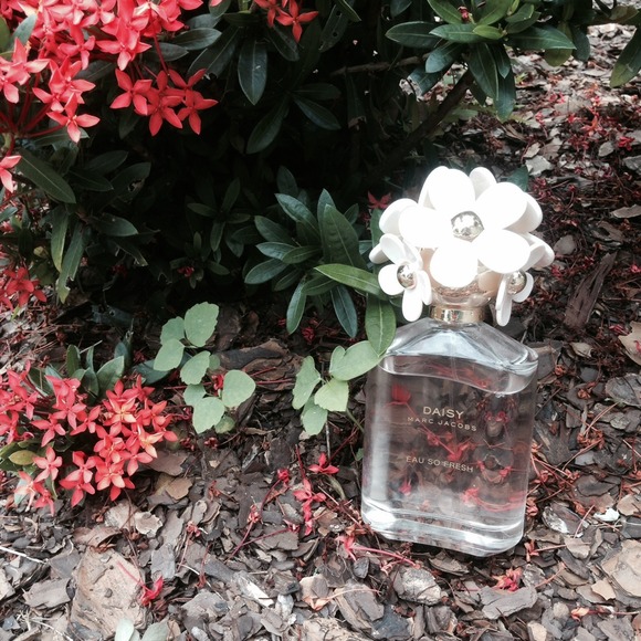 Marc Jacobs Daisy Eau So Fresh 4.25 fl oz Perfume.