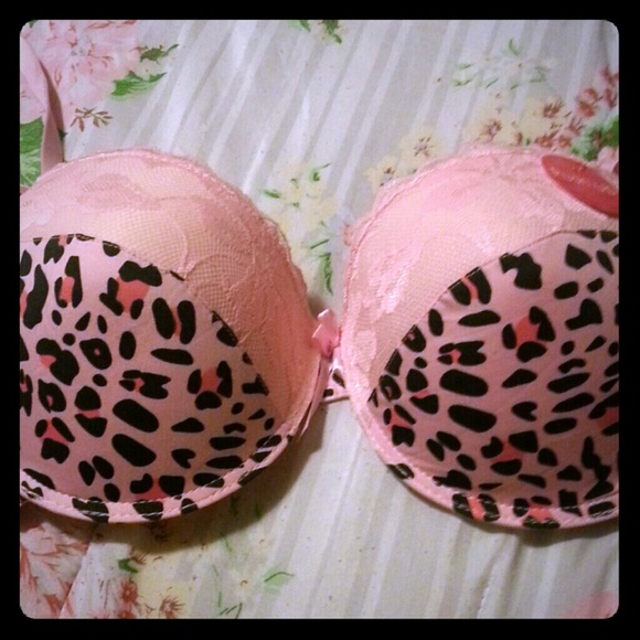 Queen's cheetah print bra NWT