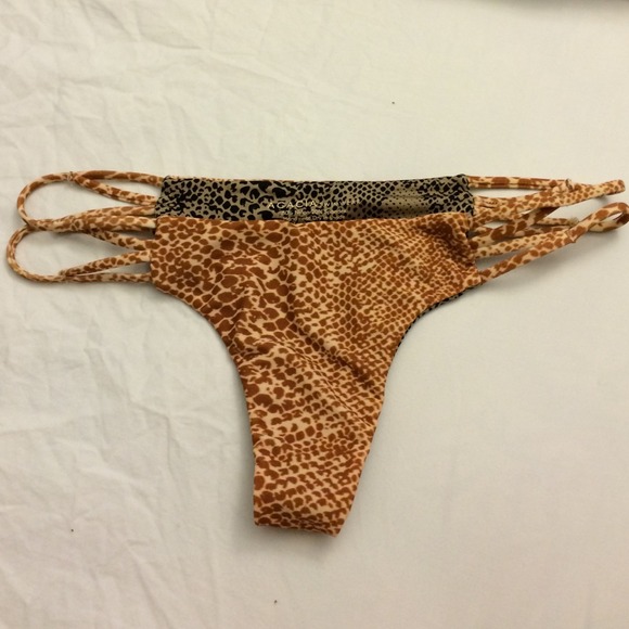 ❌SOLD❌ Acacia Maui mudsnake medium