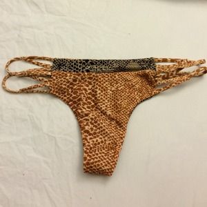 ❌SOLD❌ Acacia Maui mudsnake medium