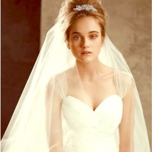 White by Vera Wang veil - ON HOLD