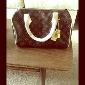 Louis Vuitton speedy 30 inspired