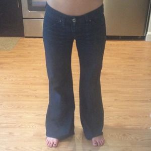 Women's Hudson wide leg jeans size 27