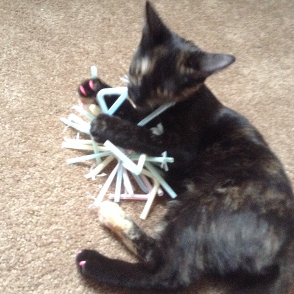 Other Homemade Straw Cat Toy Poshmark