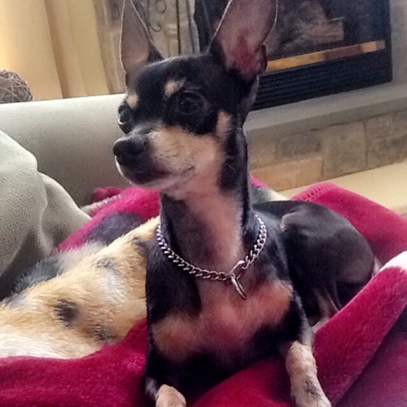 Meet Your Seller/Buyer ❤️ - Picture 4 of 4