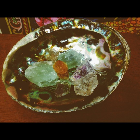 Abalone Rainbow Shell - Picture 1 of 3