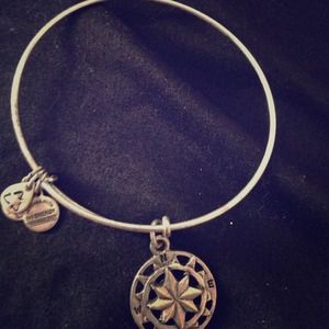 Alex and ani compass