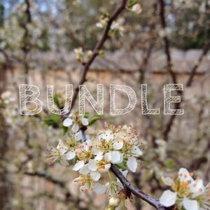 BUNDLE for @cpfenninger