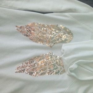 VS angel hoodie