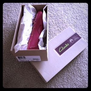 Clark's Dunbar Racers