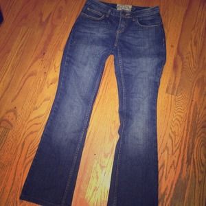 American Rag Bootcut Jeans