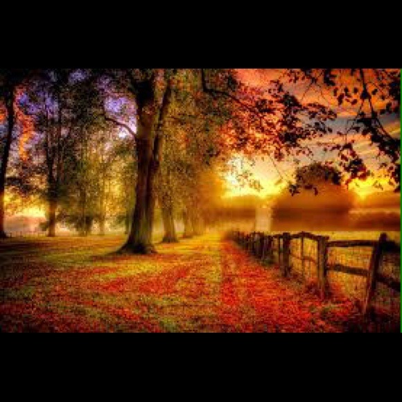 🍁Fall is Near!🍂