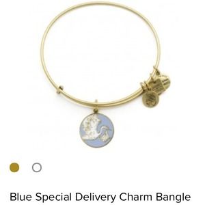 Alex and Ani special delivery bracelet NEW w tags