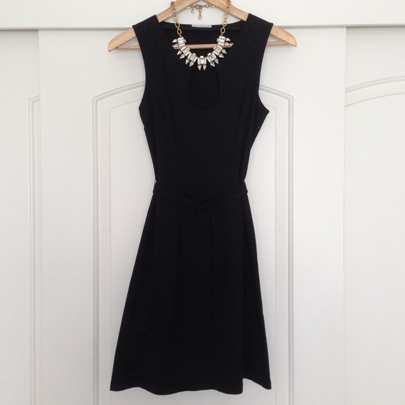 *Chaiken & Capone A-line dress