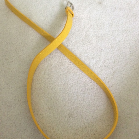 snakeskin yellow belt