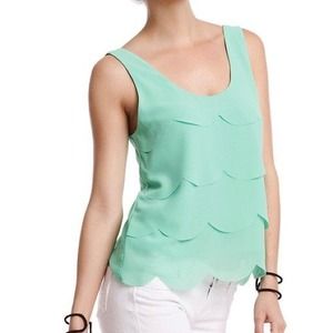 Naked Zebra Mint Top - Medium