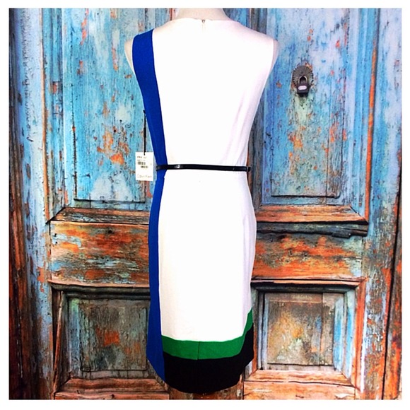 Colorblock Sleeveless Dress - Picture 2 of 3