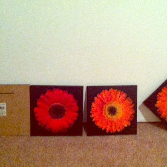 Red daisy frames $5 each or all for $20