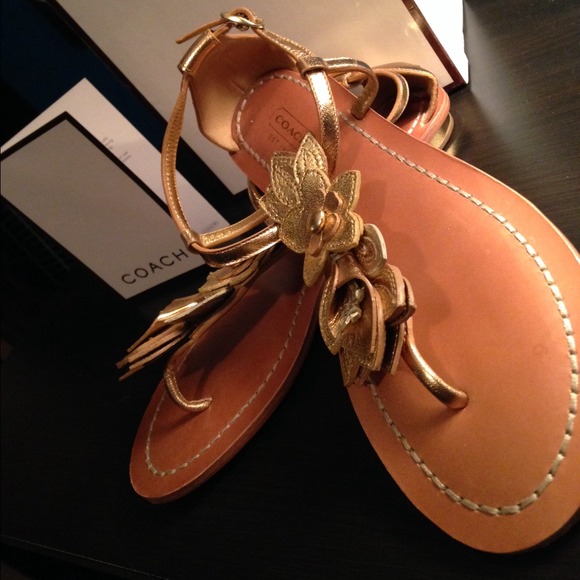 coach sandals with flower