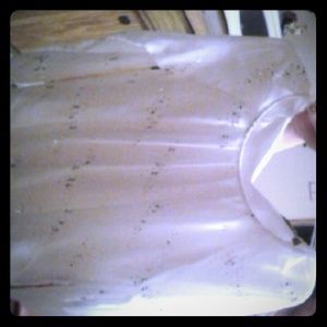 Valerie Stevens blouse