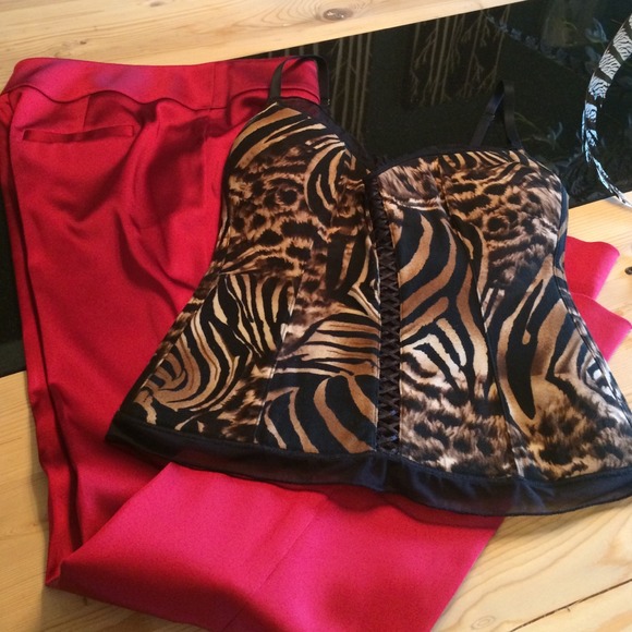 Bundle Cache pants and animal print top