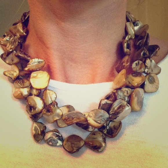 Earth Toned Shell Costume Necklace