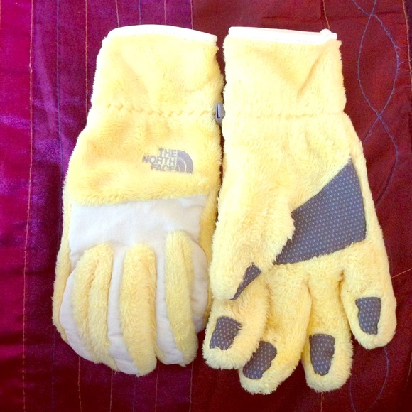North Face gloves