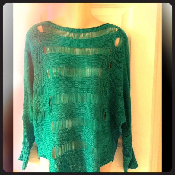 BLVD Crochet Style See Through Top with Sheer Back