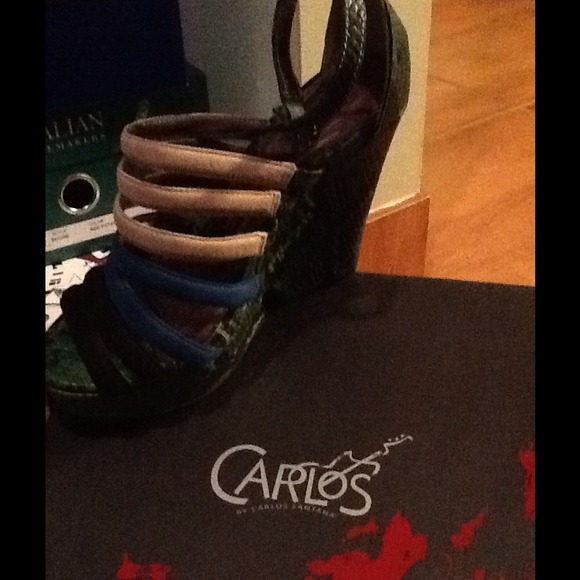 Wedges by Carlos Santana