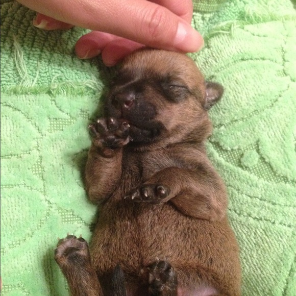 MEET YOUR POSH AMBASSADOR - Picture 6 of 6