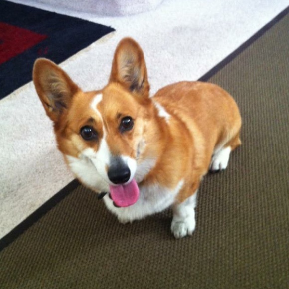 π PM Suggested User β€οΈ - Picture 2 of 4