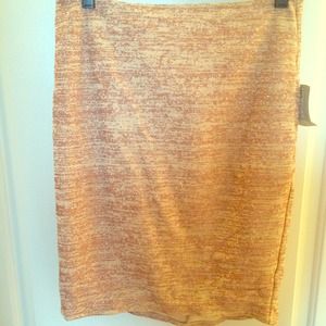 NWT Shimmery skirt
