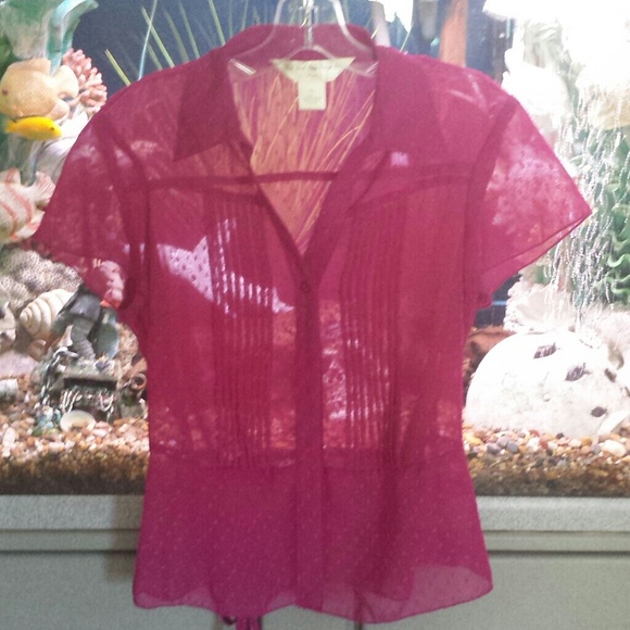 100% polyester. ..see threw blouse