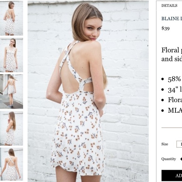 Blaine dress from Brandy Melville - Picture 4 of 4